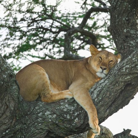 Lake Manyara National Park